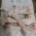 牛棒骨。纯圆棒骨、、、