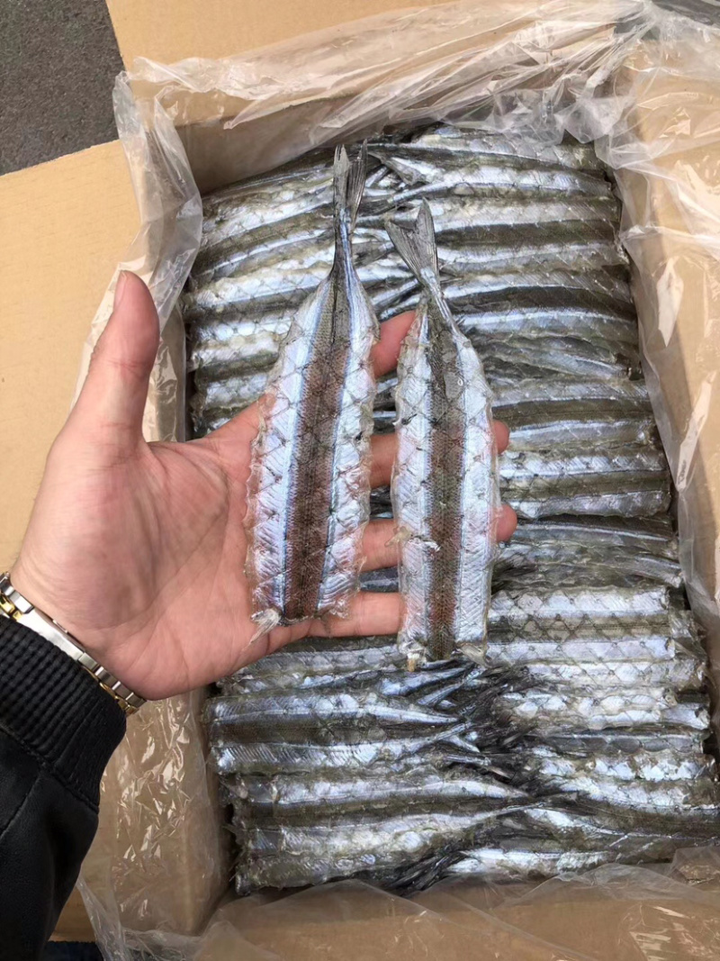 调味马步鱼干冷冻海产品、、、