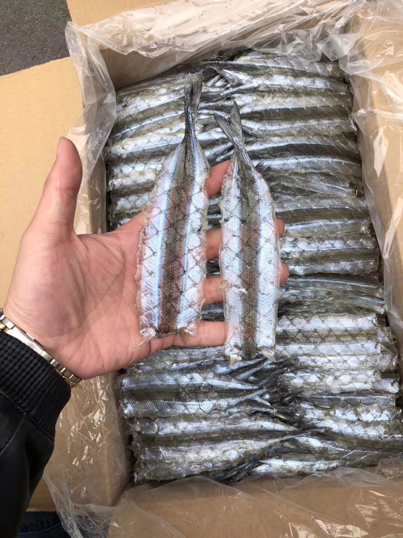 调味马步鱼干冷冻海产品、、、