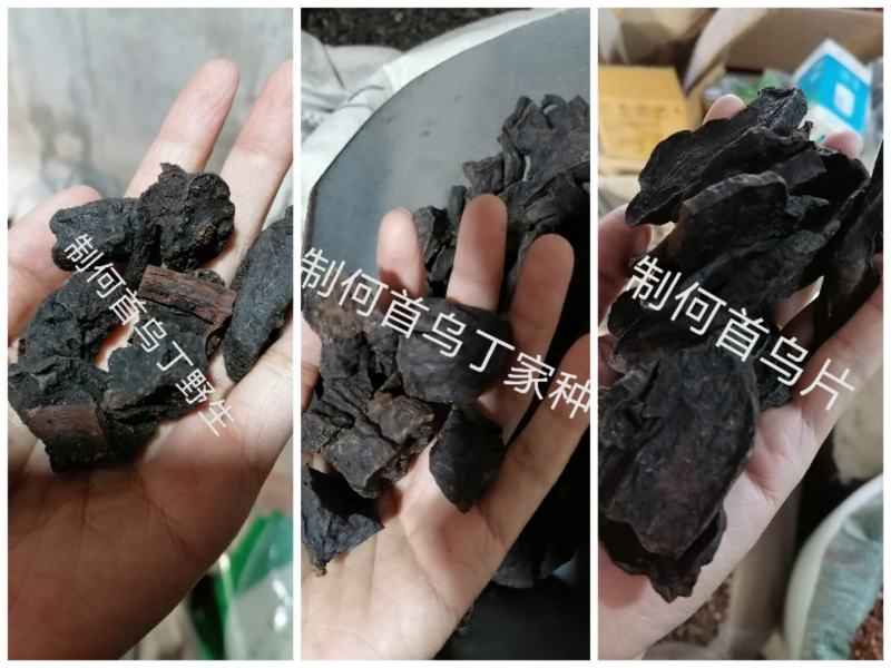 制何首乌丁片家种各种规格批发质量保证批发零售各种规格