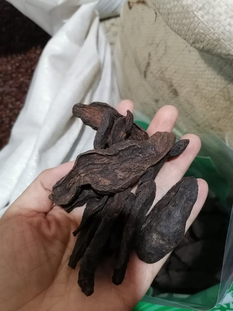 制何首乌丁片家种各种规格批发质量保证批发零售各种规格