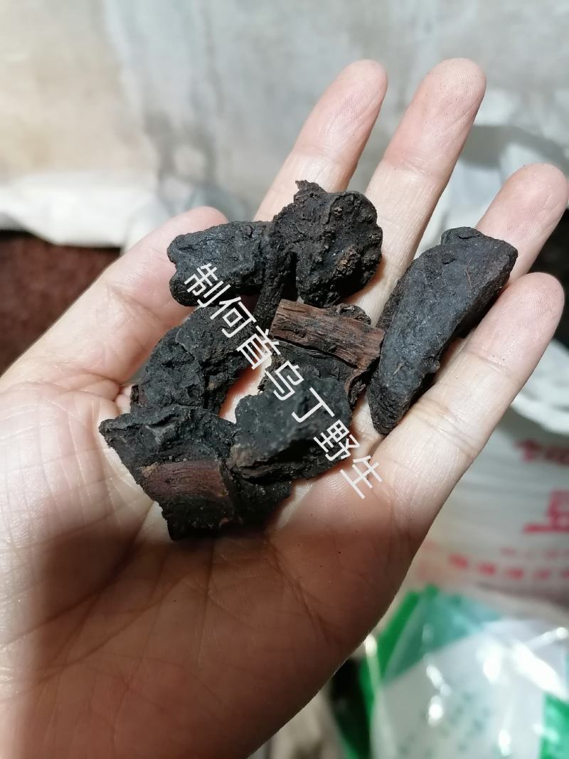 制何首乌丁片家种各种规格批发质量保证批发零售各种规格