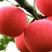 红富士苹果，产地直供，货源充足，可发全国物流。。。