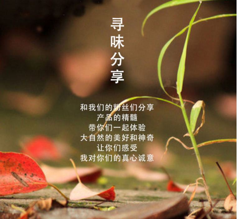 焦糖瓜子，五香瓜子共十吨（卖完为止，欲购从速）