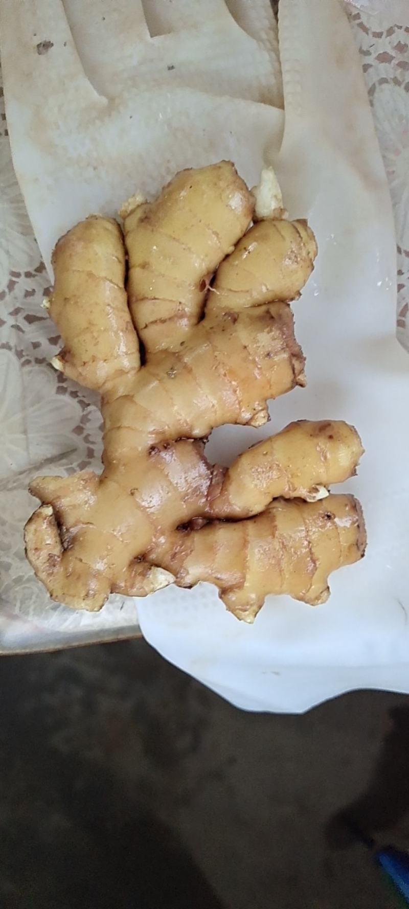【火爆】安徽优质精品大黄姜，一首货源，产地直销！欢迎考察