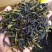 八仙茶土山茶潮汕工夫茶惠来土山茶八仙茶山茶1斤高山茶