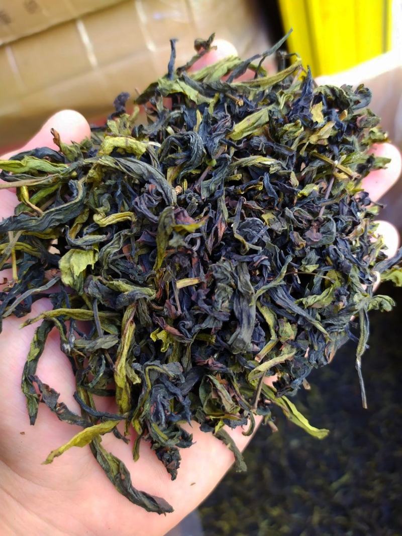八仙茶土山茶潮汕工夫茶惠来土山茶八仙茶山茶1斤高山茶