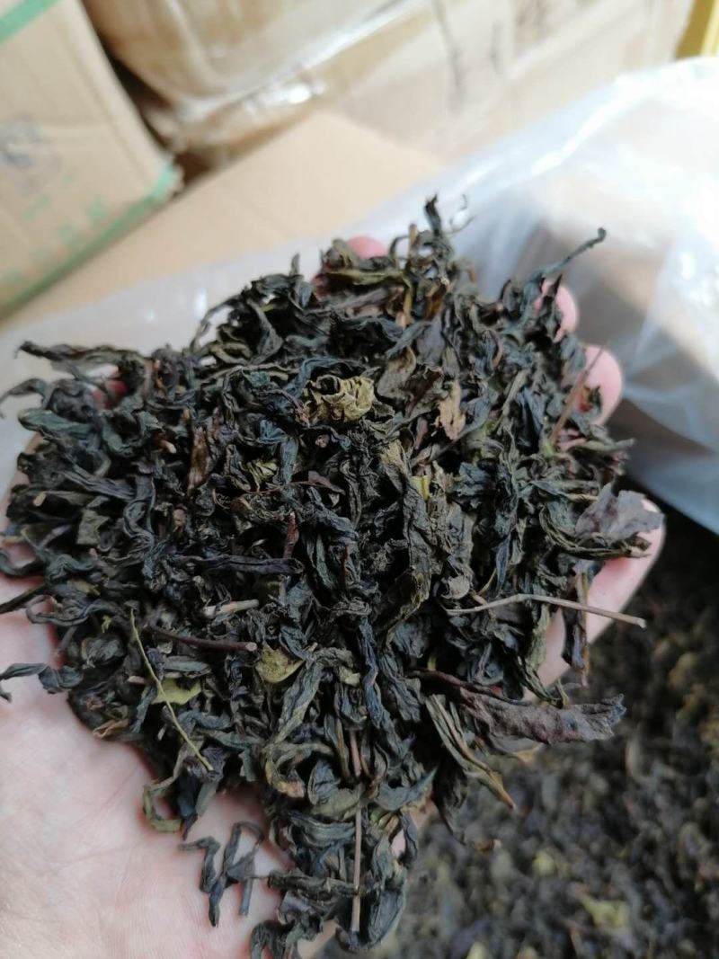 高山茶叶惠来土山茶潮汕工夫茶大坪土山茶1斤八仙茶山茶