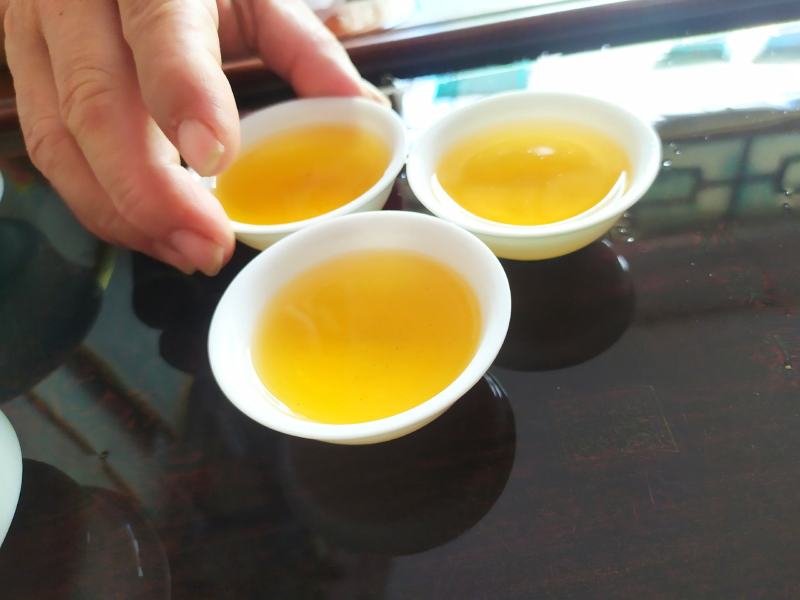 高山茶叶惠来土山茶潮汕工夫茶大坪土山茶1斤八仙茶山茶