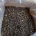 高山茶叶惠来土山茶潮汕工夫茶大坪土山茶1斤八仙茶山茶