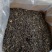高山茶叶惠来土山茶潮汕工夫茶大坪土山茶1斤八仙茶山茶