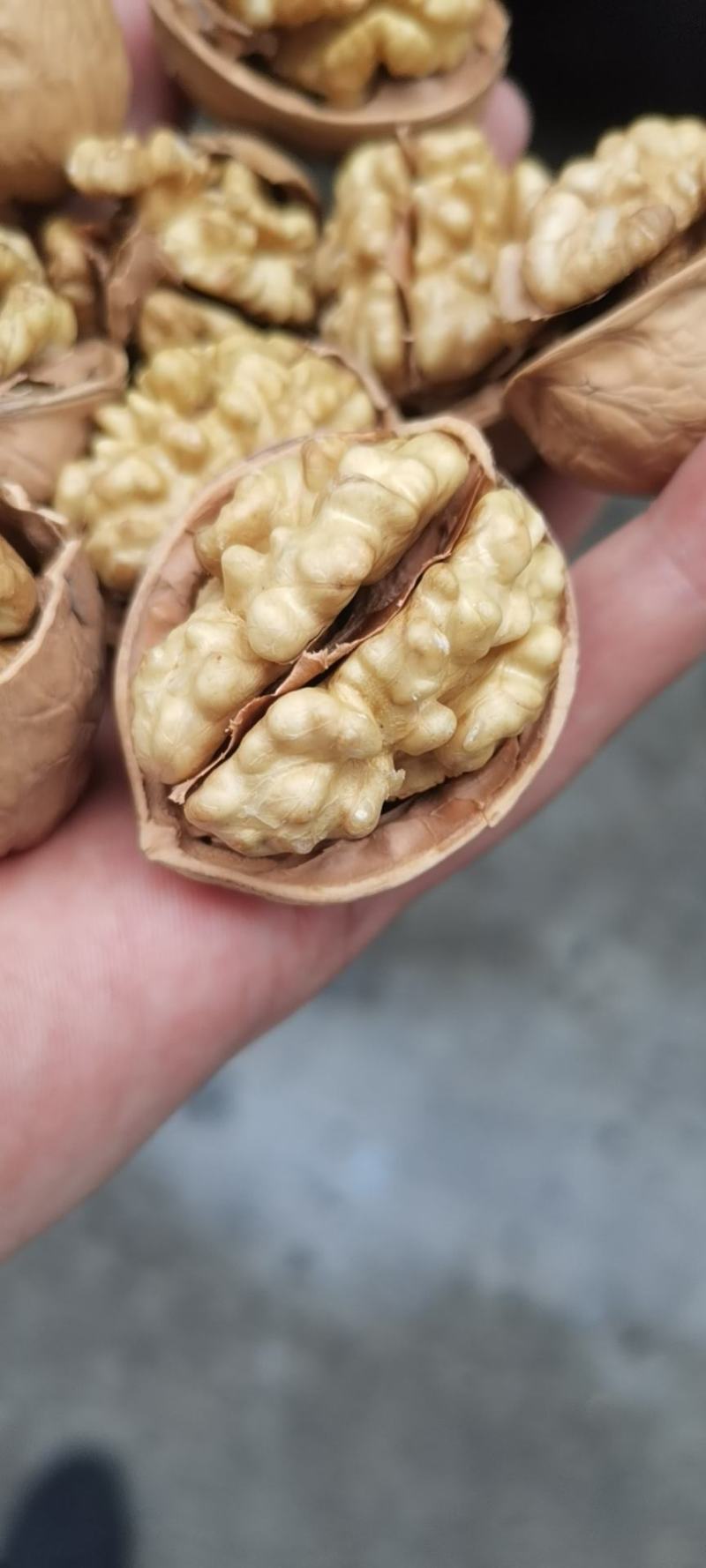 新货一手货源包退包换新疆核桃纸皮核桃185纸皮核桃