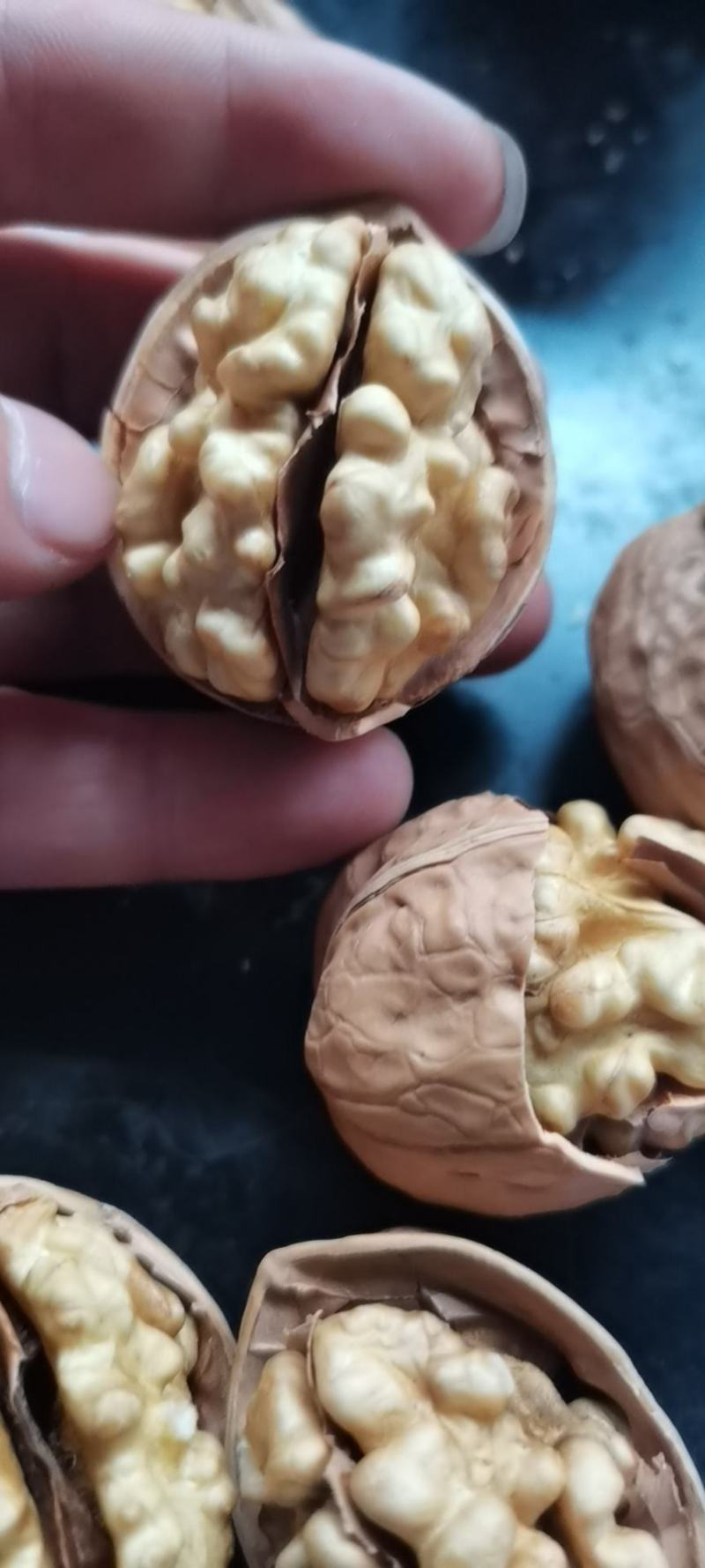 新货一手货源包退包换新疆核桃纸皮核桃185纸皮核桃