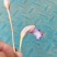 白茅花/蔗寄生/野菰/蛇箭草/管真花/管真好/毛草花/