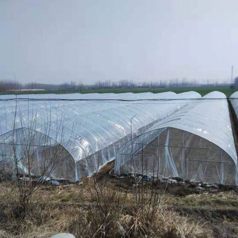 大棚膜农膜塑料薄膜长寿无滴膜po膜EVA消雾膜