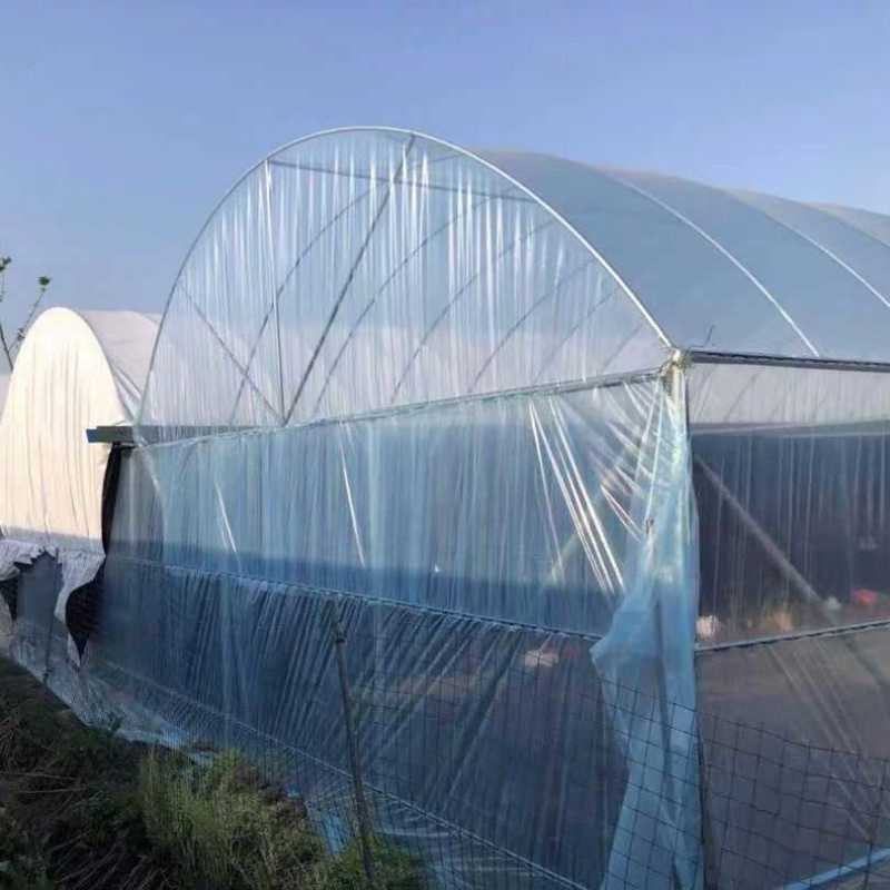 大棚膜农膜塑料薄膜长寿无滴膜po膜EVA消雾膜