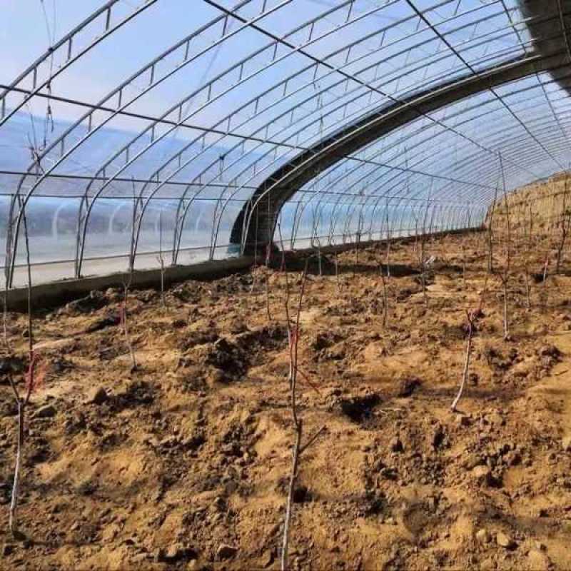 大棚膜农膜塑料薄膜长寿无滴膜po膜EVA消雾膜