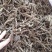 荆芥穗河北干荆芥穗新货无硫净货量大从优可供批发零售