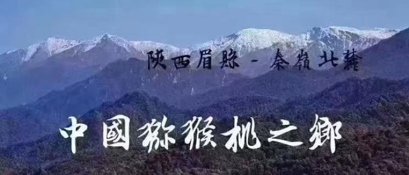 眉县徐香猕猴桃，全国包邮，果农直销，现摘现发……