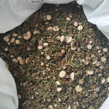 红豆杉叶500克包邮精选中药材包含量，