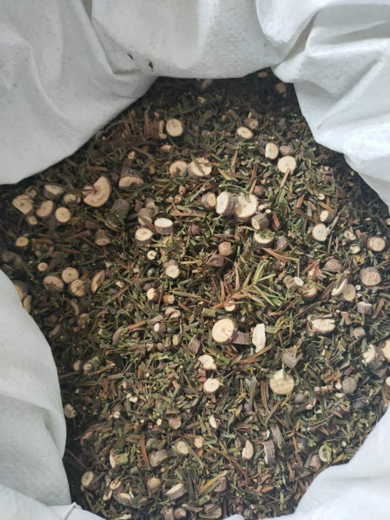 红豆杉叶500克包邮精选中药材包含量，