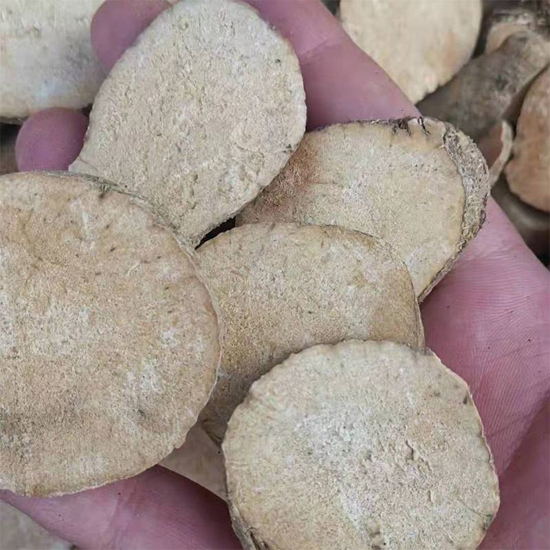 泽泻片无硫净货泽泻规格齐全产地直销量大从优