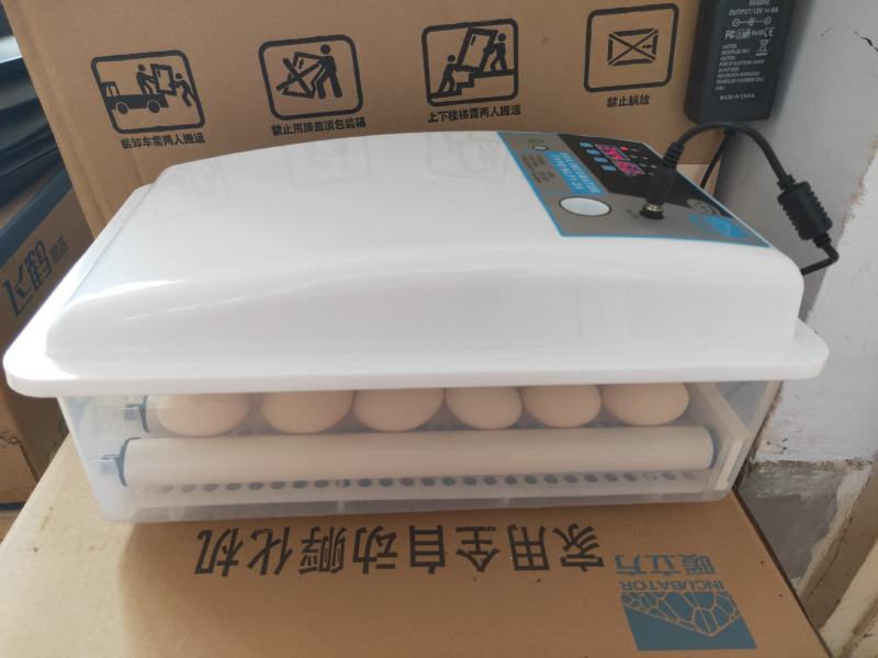 【双十二钜惠】优惠多多孵化器微型孵化机家用智能孵化器