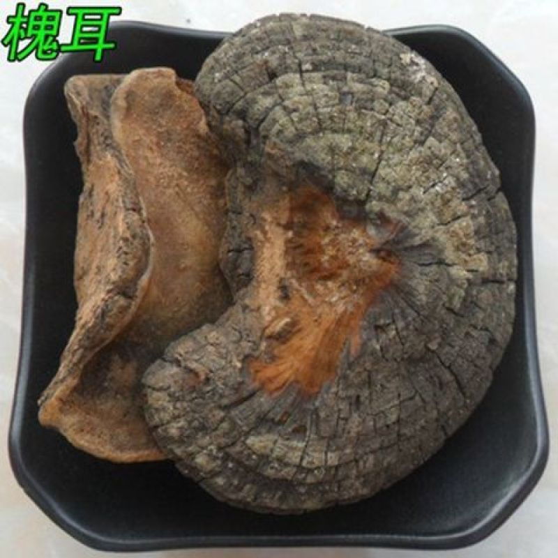 槐耳别名槐蛾槐菌槐鸡槐鹅槐树木耳槐东北产