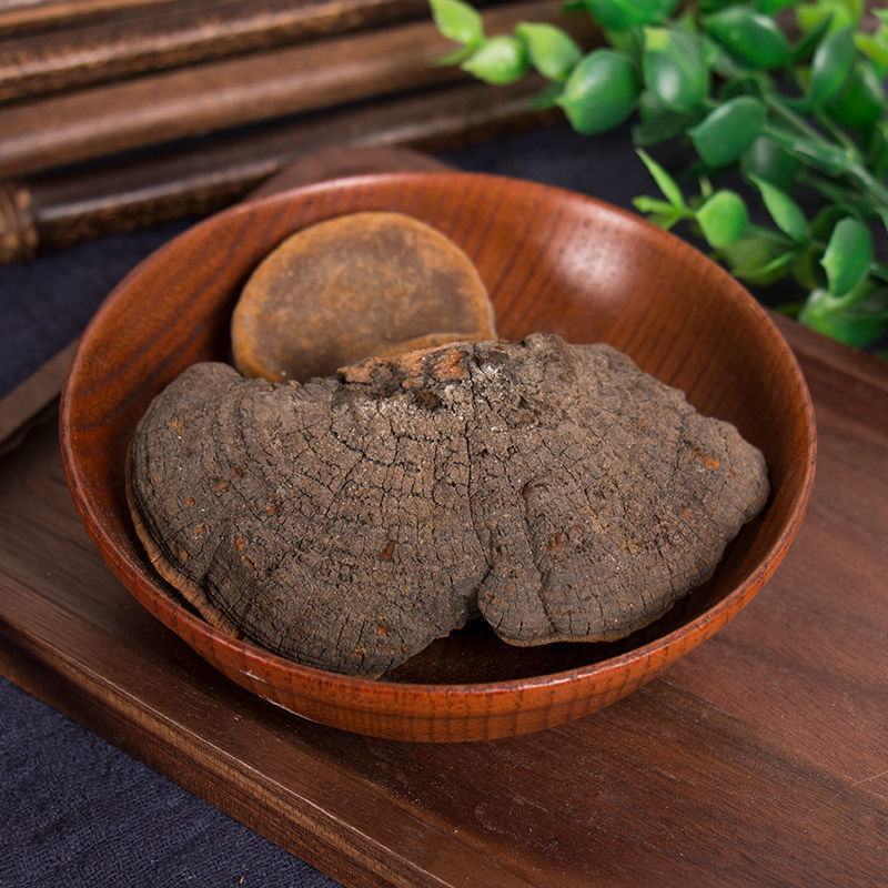 槐耳别名槐蛾槐菌槐鸡槐鹅槐树木耳槐东北产