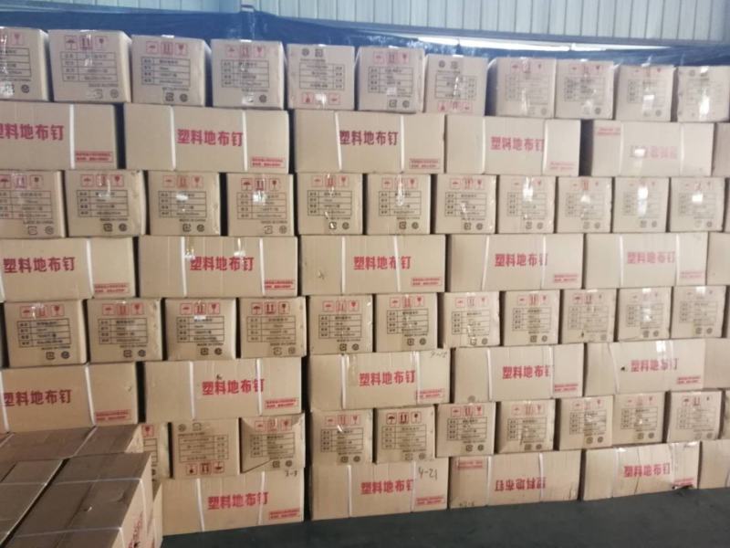 防草布塑料地钉，园艺用品地布钉，果园农田固定钉