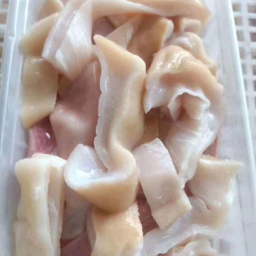 鲨鱼肚盒装净重的250克