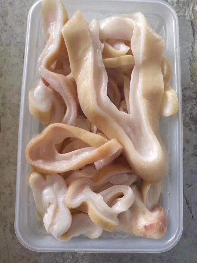鲨鱼肚盒装净重的250克