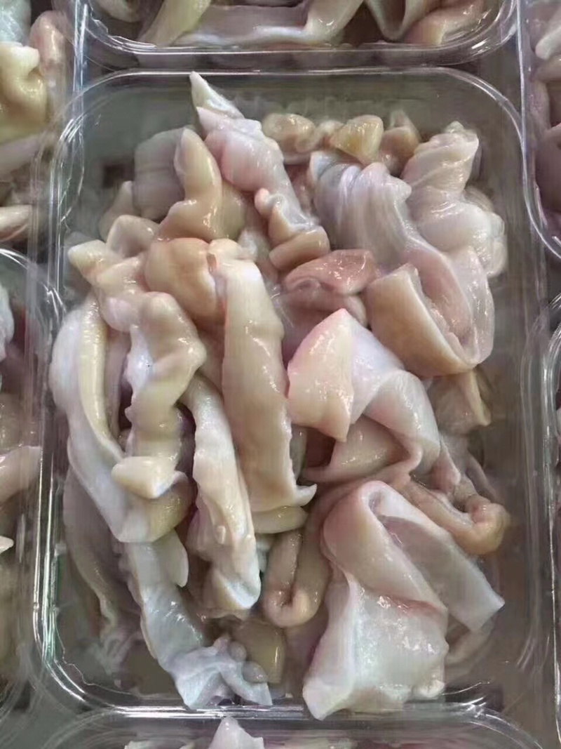 鲨鱼肚盒装净重的250克
