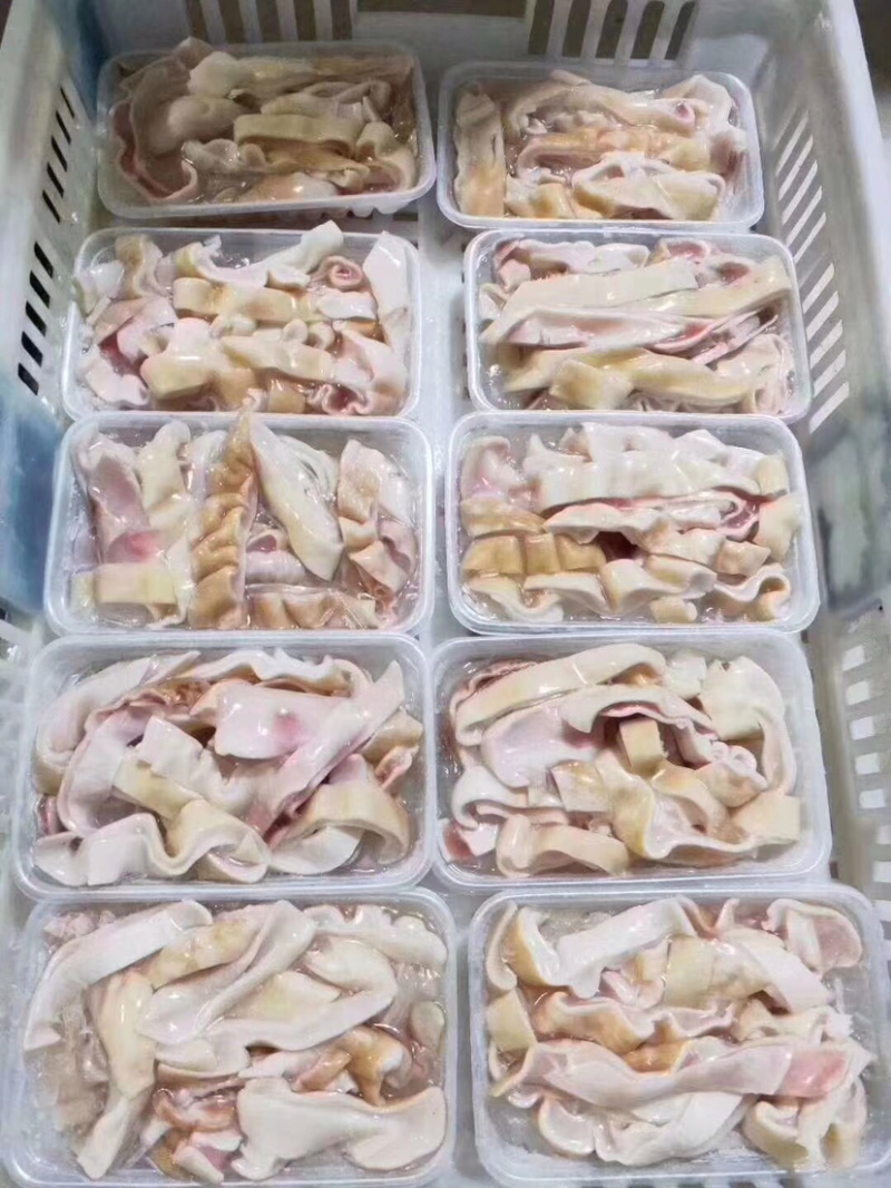 鲨鱼肚盒装净重的250克