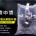 葡萄水果双层充气袋袋中袋防摔防压保护袋