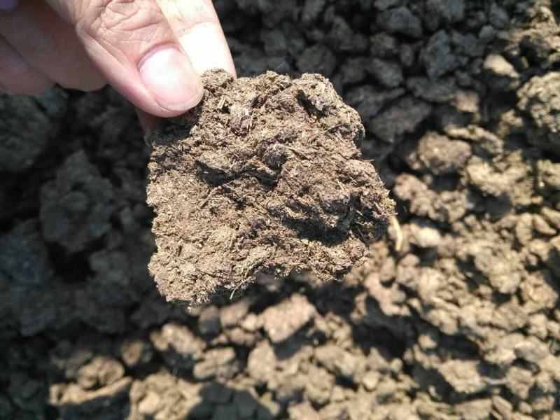发酵鸡粪有机肥厂家直销批发水果种植基地有机肥海南芒果肥料