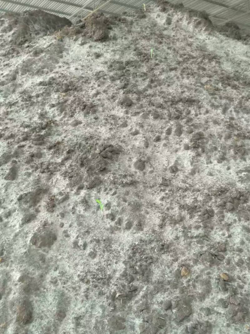 发酵鸡粪有机肥厂家直销批发水果种植基地有机肥海南芒果肥料
