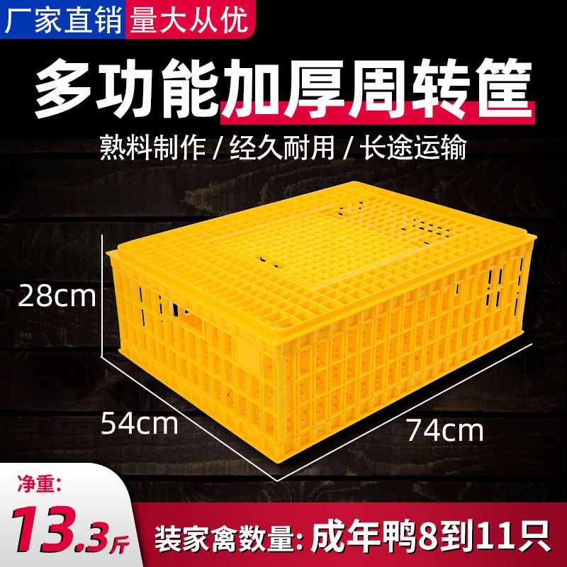 （包邮）成鸡周转箱加强型特大运输用运输筐鸡笼