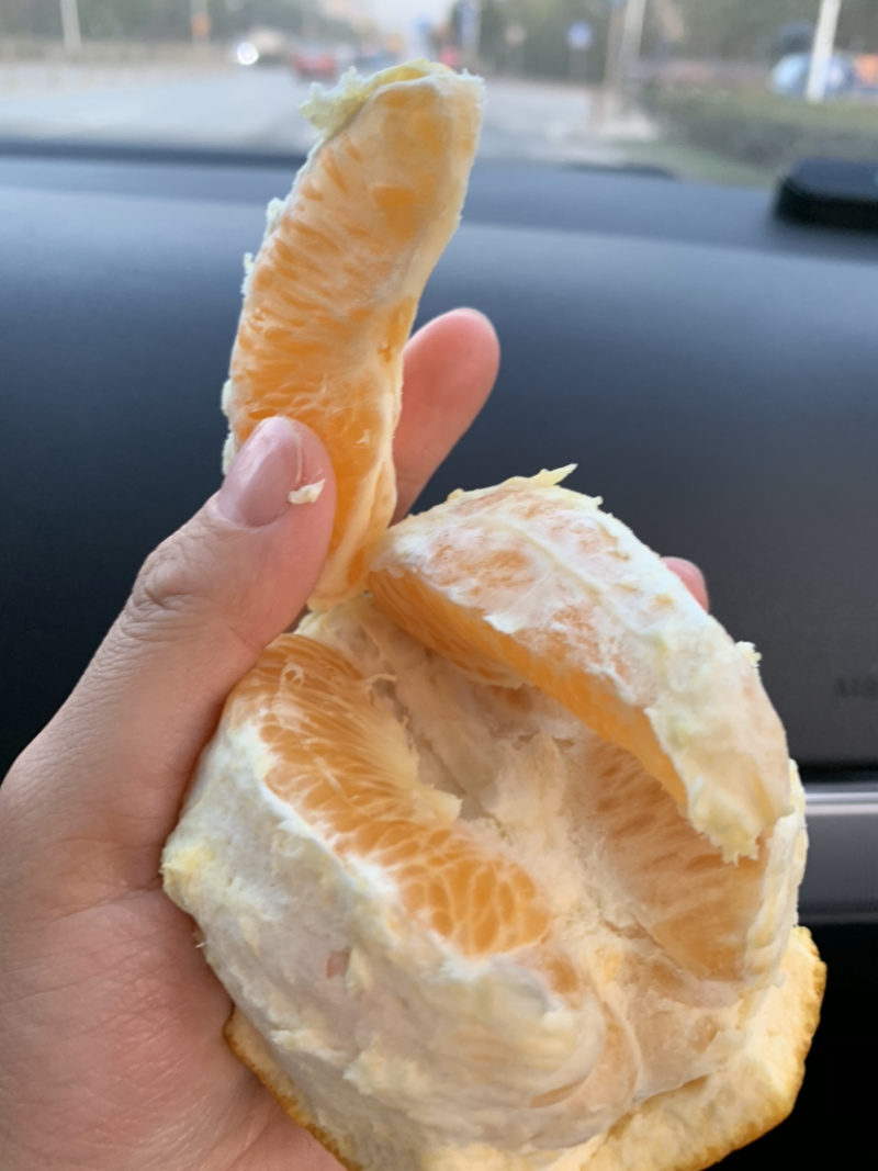 甜份高水份足的大脐橙