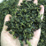 中秋节茶礼批发一斤也批发