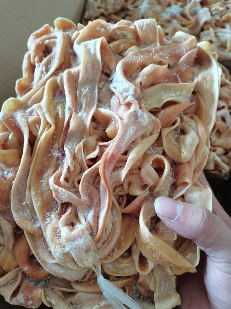 鹅肠，根根鹅肠，抓盘鹅肠大量有货鲜冻都有，量大从优