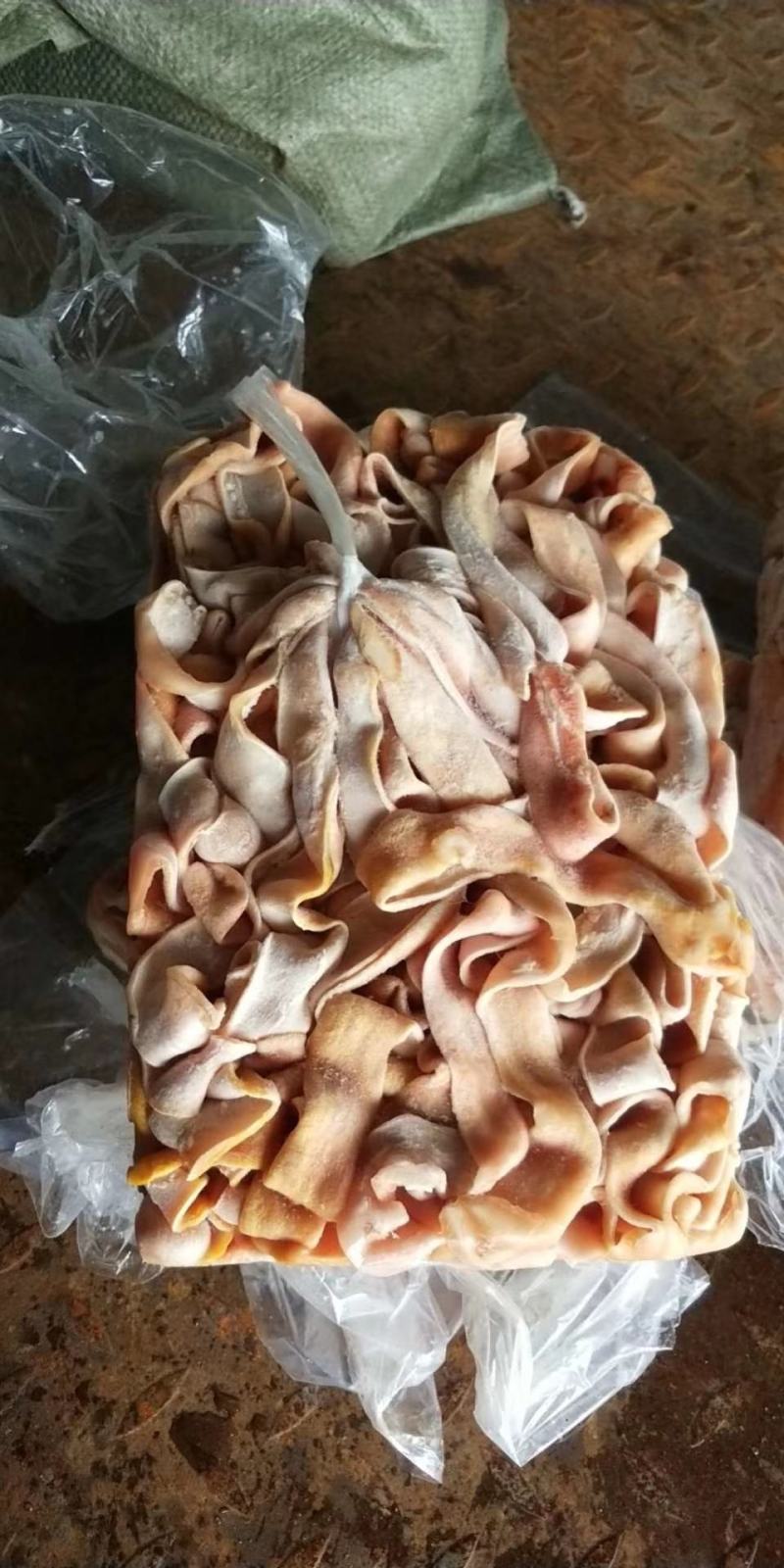 鹅肠，根根鹅肠，抓盘鹅肠大量有货鲜冻都有，量大从优