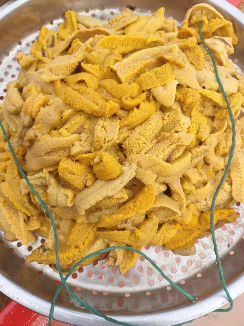 大量海胆批发，有需要的可以联系我