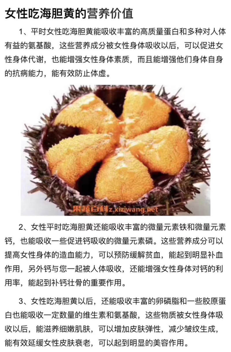 大量海胆批发，有需要的可以联系我