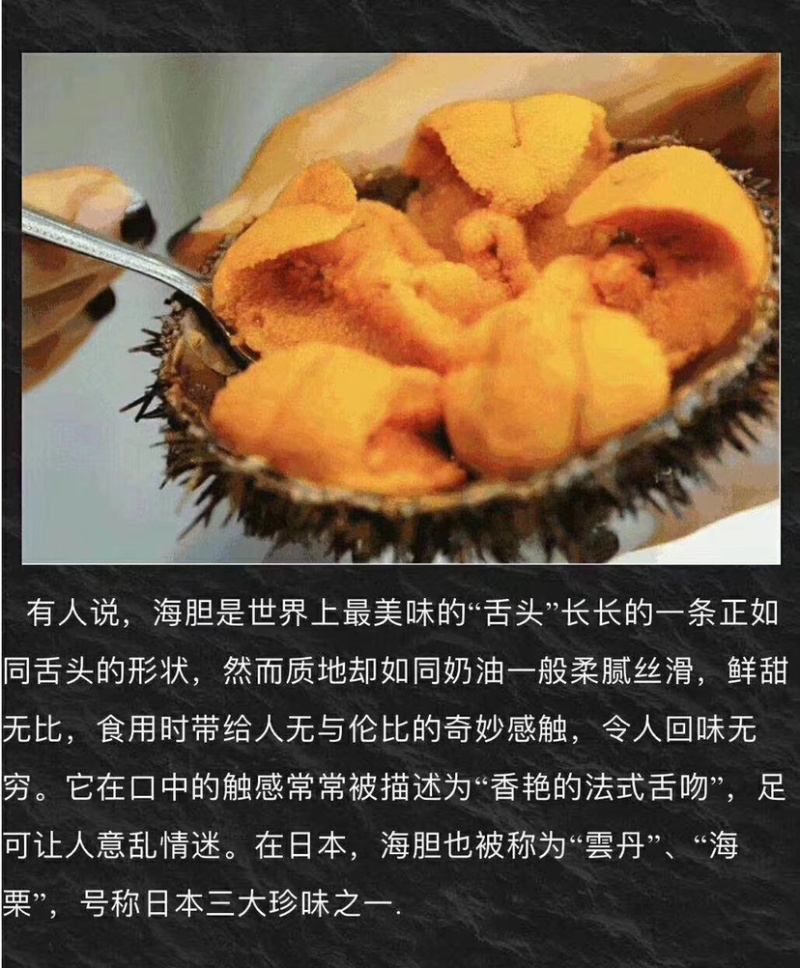 大量海胆批发，有需要的可以联系我