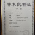 杨树苗，无絮杨南林3412杨107杨，2025杨100万