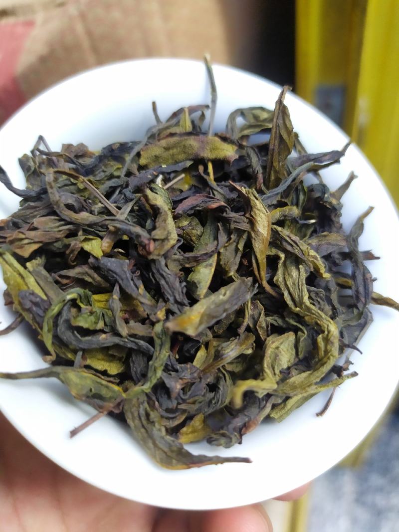 八仙茶惠来土山茶潮汕茶叶大坪土山茶高山茶叶1斤八仙茶山茶