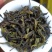 八仙茶惠来土山茶潮汕茶叶大坪土山茶高山茶叶1斤八仙茶山茶