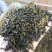 八仙茶惠来土山茶潮汕茶叶大坪土山茶高山茶叶1斤八仙茶山茶