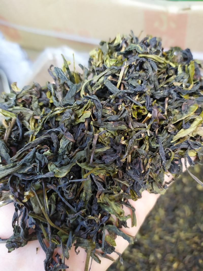 八仙茶惠来土山茶潮汕茶叶大坪土山茶高山茶叶1斤八仙茶山茶